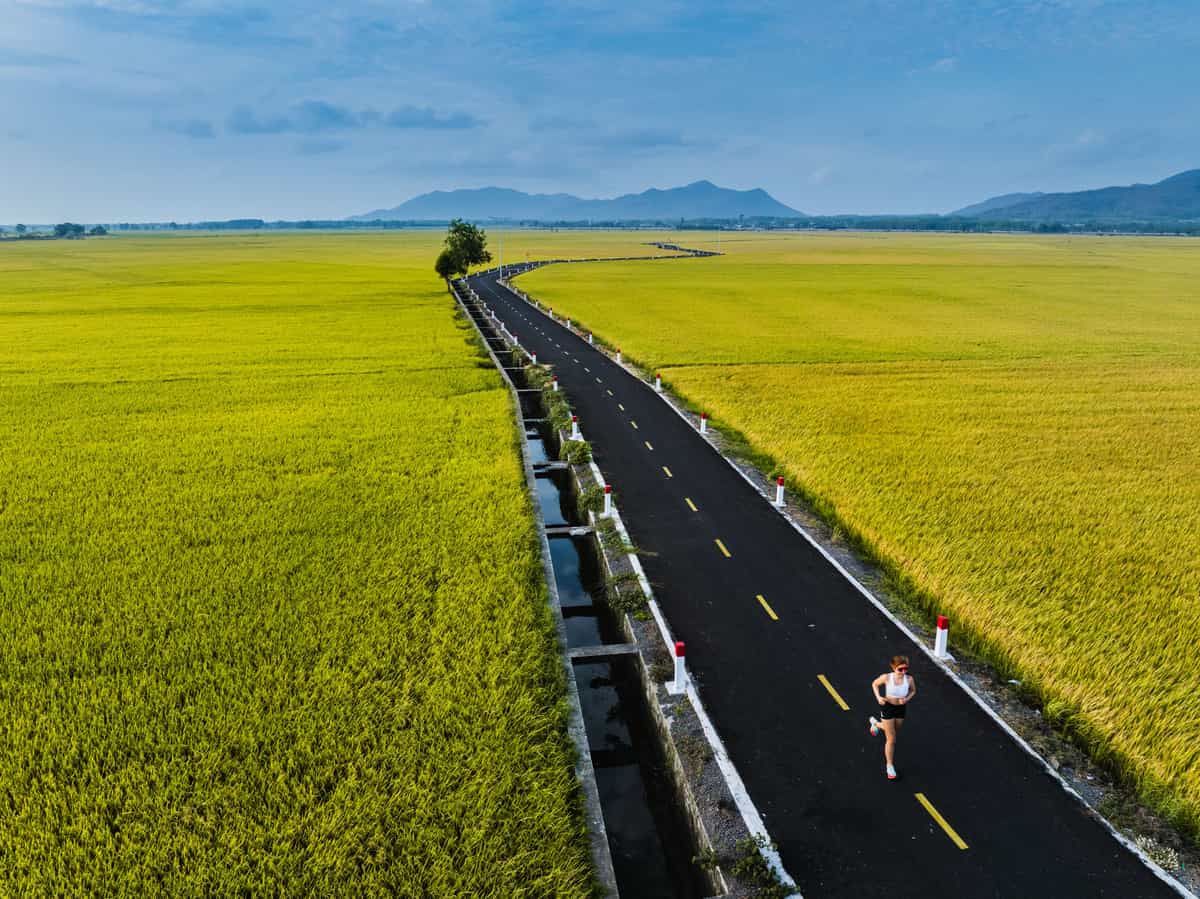 A runner on a long rural road between green fields